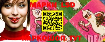 Альфа ПВП Ярославль