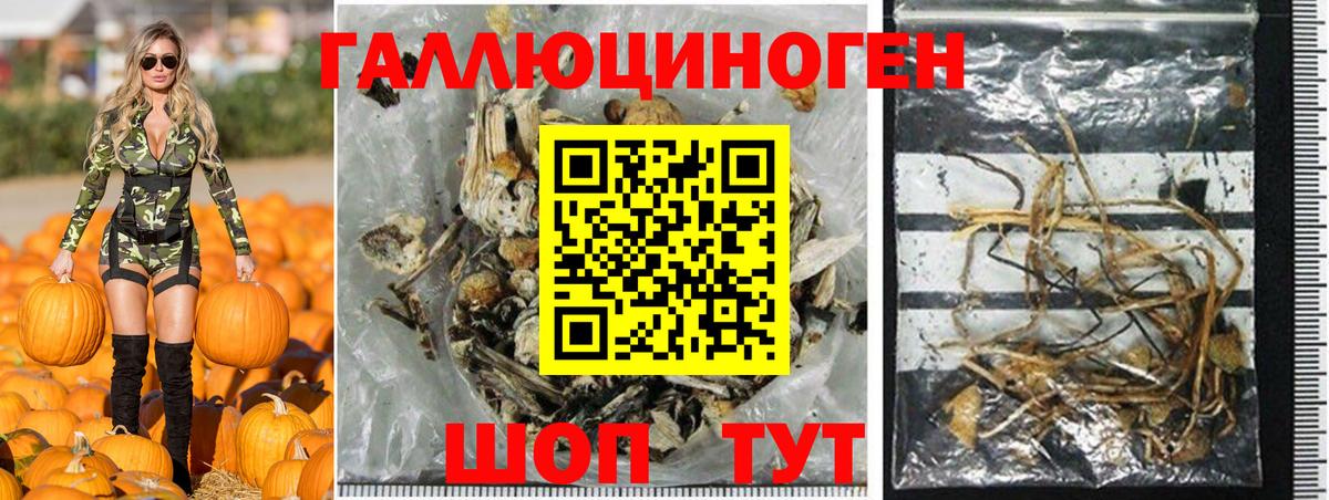 Галлюциногенные грибы Psilocybine cubensis  Вход с VPN  Галлюциногенные грибы Psilocybe  Кирово-Чепецк 