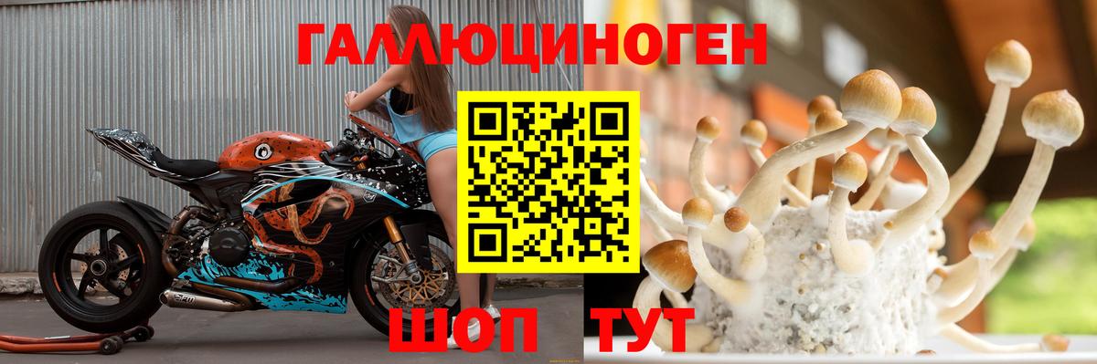 Галлюциногенные грибы мухоморы Кирово-Чепецк